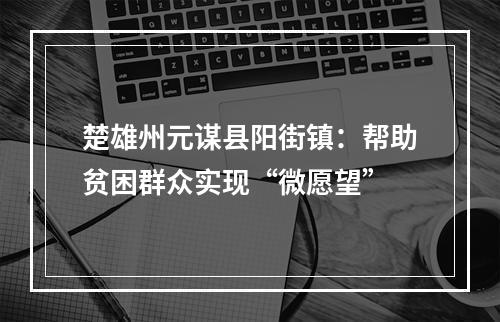 楚雄州元谋县阳街镇：帮助贫困群众实现“微愿望”