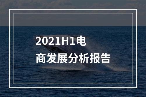 2021H1电商发展分析报告