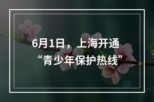 6月1日，上海开通“青少年保护热线”