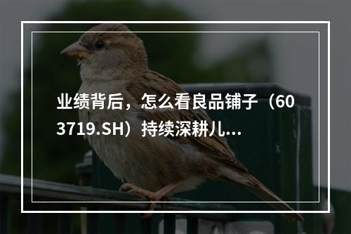 业绩背后，怎么看良品铺子（603719.SH）持续深耕儿童零食市场？