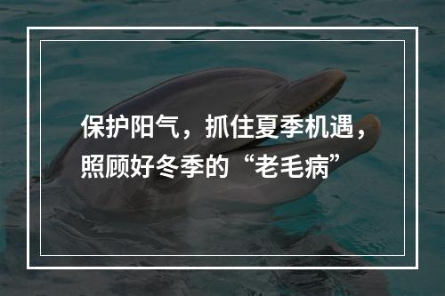 保护阳气，抓住夏季机遇，照顾好冬季的“老毛病”