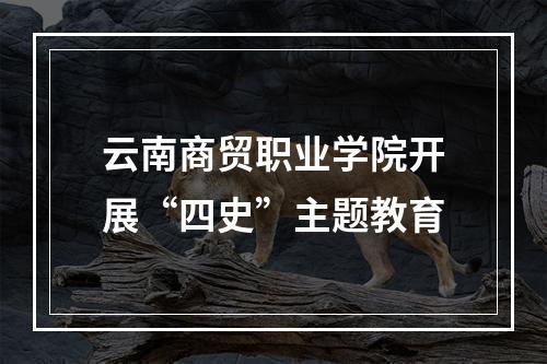 云南商贸职业学院开展“四史”主题教育