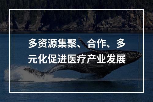 多资源集聚、合作、多元化促进医疗产业发展