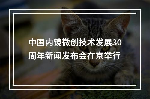 中国内镜微创技术发展30周年新闻发布会在京举行