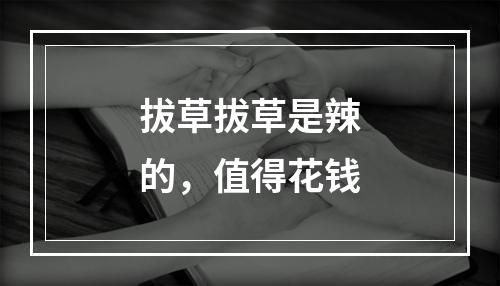 拔草拔草是辣的，值得花钱