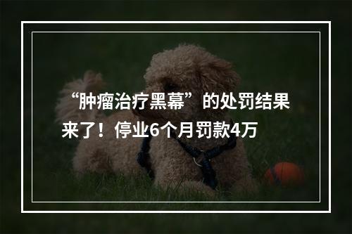 “肿瘤治疗黑幕”的处罚结果来了！停业6个月罚款4万