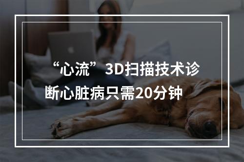 “心流”3D扫描技术诊断心脏病只需20分钟