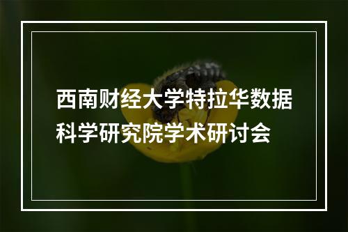西南财经大学特拉华数据科学研究院学术研讨会