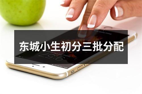 东城小生初分三批分配