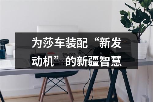 为莎车装配“新发动机”的新疆智慧