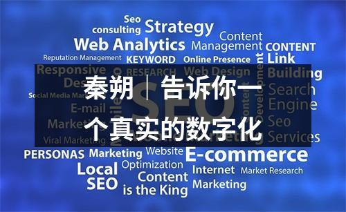 秦朔｜告诉你一个真实的数字化
