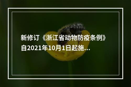 新修订《浙江省动物防疫条例》 自2021年10月1日起施行