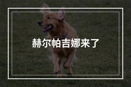 赫尔帕吉娜来了