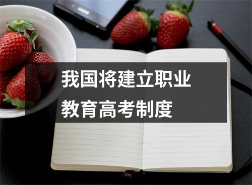 我国将建立职业教育高考制度