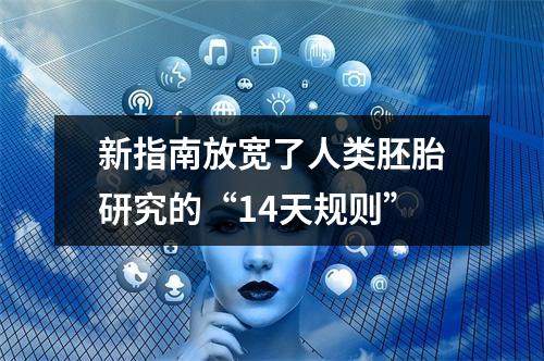 新指南放宽了人类胚胎研究的“14天规则”