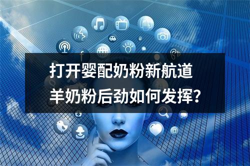 打开婴配奶粉新航道 羊奶粉后劲如何发挥？
