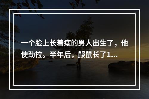 一个脸上长着痣的男人出生了，他使劲拉。半年后，鼹鼠长了15倍