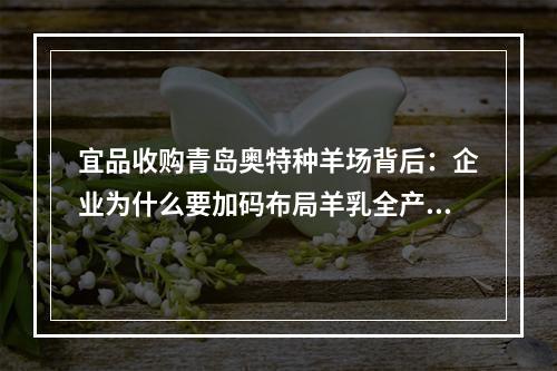 宜品收购青岛奥特种羊场背后：企业为什么要加码布局羊乳全产业链？