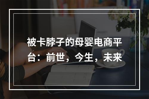 被卡脖子的母婴电商平台：前世，今生，未来