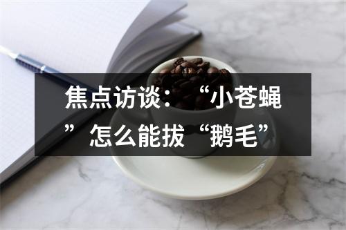 焦点访谈：“小苍蝇”怎么能拔“鹅毛”