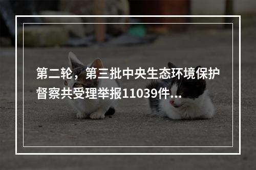 第二轮，第三批中央生态环境保护督察共受理举报11039件，约谈524人，并进行问责