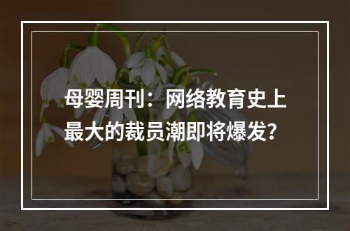 母婴周刊：网络教育史上最大的裁员潮即将爆发？