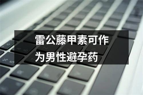 雷公藤甲素可作为男性避孕药