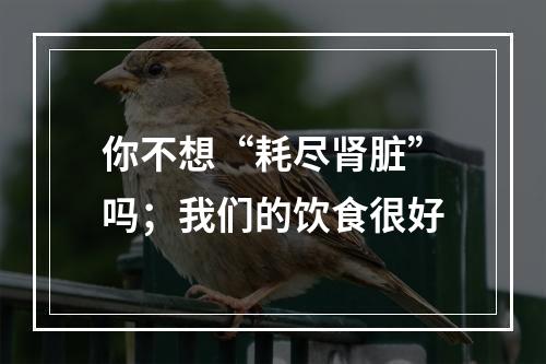 你不想“耗尽肾脏”吗；我们的饮食很好