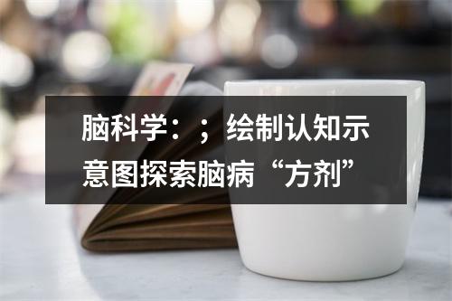 脑科学：；绘制认知示意图探索脑病“方剂”