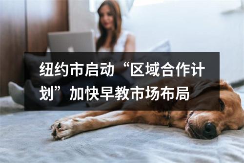 纽约市启动“区域合作计划”加快早教市场布局