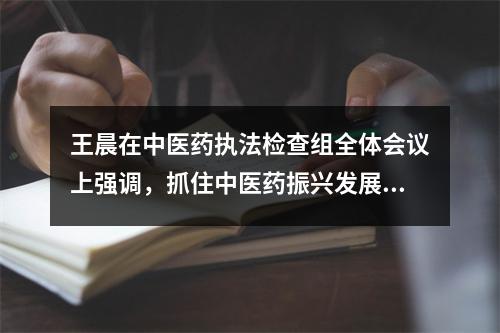 王晨在中医药执法检查组全体会议上强调，抓住中医药振兴发展的良好机遇，为人民群众提供更加优质高效的卫生服务