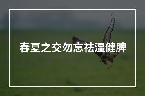 春夏之交勿忘祛湿健脾