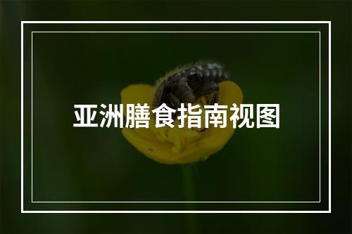 亚洲膳食指南视图