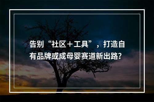 告别“社区＋工具”，打造自有品牌或成母婴赛道新出路？