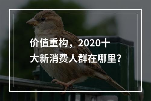 价值重构，2020十大新消费人群在哪里？