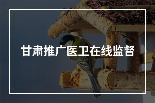 甘肃推广医卫在线监督