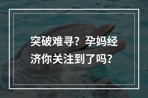 突破难寻？孕妈经济你关注到了吗？