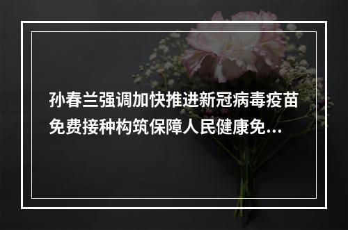 孙春兰强调加快推进新冠病毒疫苗免费接种构筑保障人民健康免疫屏障