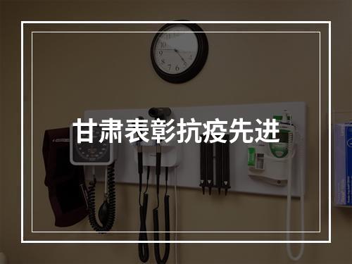 甘肃表彰抗疫先进