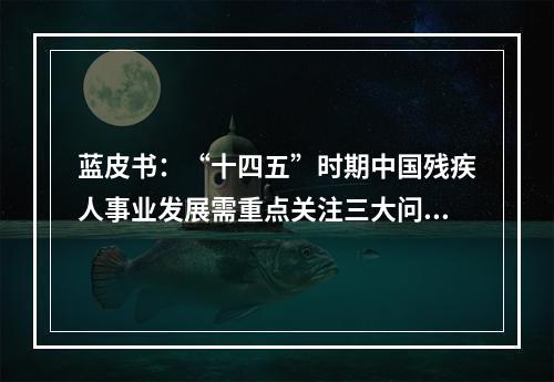 蓝皮书：“十四五”时期中国残疾人事业发展需重点关注三大问题