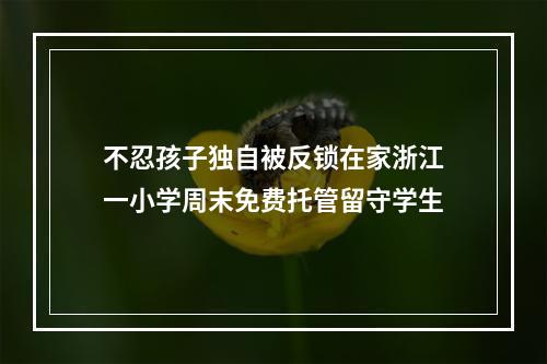 不忍孩子独自被反锁在家浙江一小学周末免费托管留守学生