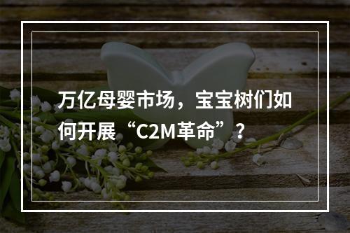 万亿母婴市场，宝宝树们如何开展“C2M革命”？