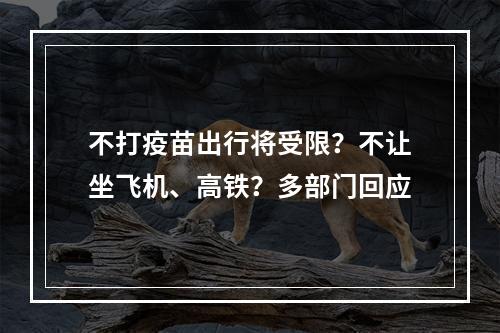 不打疫苗出行将受限？不让坐飞机、高铁？多部门回应