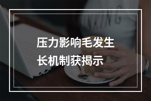 压力影响毛发生长机制获揭示