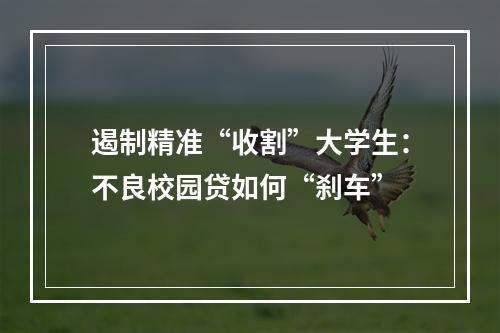 遏制精准“收割”大学生：不良校园贷如何“刹车”