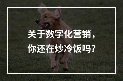 关于数字化营销，你还在炒冷饭吗？