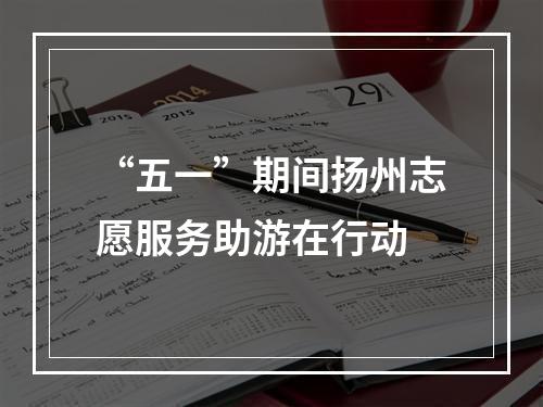 “五一”期间扬州志愿服务助游在行动