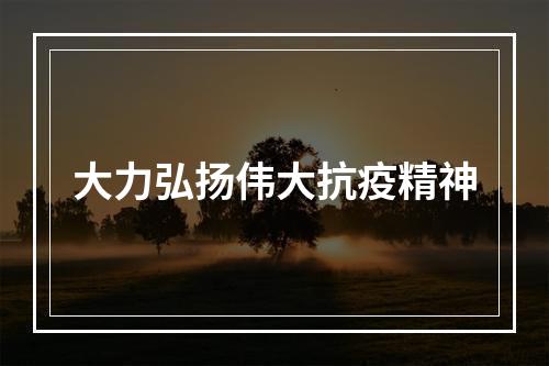 大力弘扬伟大抗疫精神