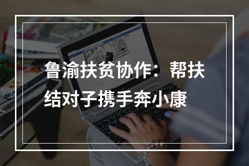 鲁渝扶贫协作：帮扶结对子携手奔小康