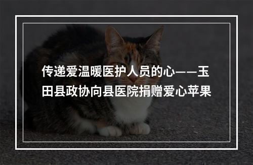 传递爱温暖医护人员的心——玉田县政协向县医院捐赠爱心苹果